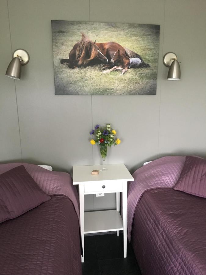 Stryta Apartment 2 Olfus Ngoại thất bức ảnh